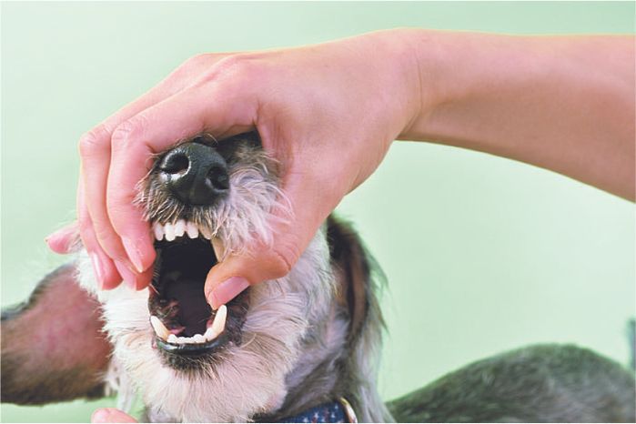 奥までチェック