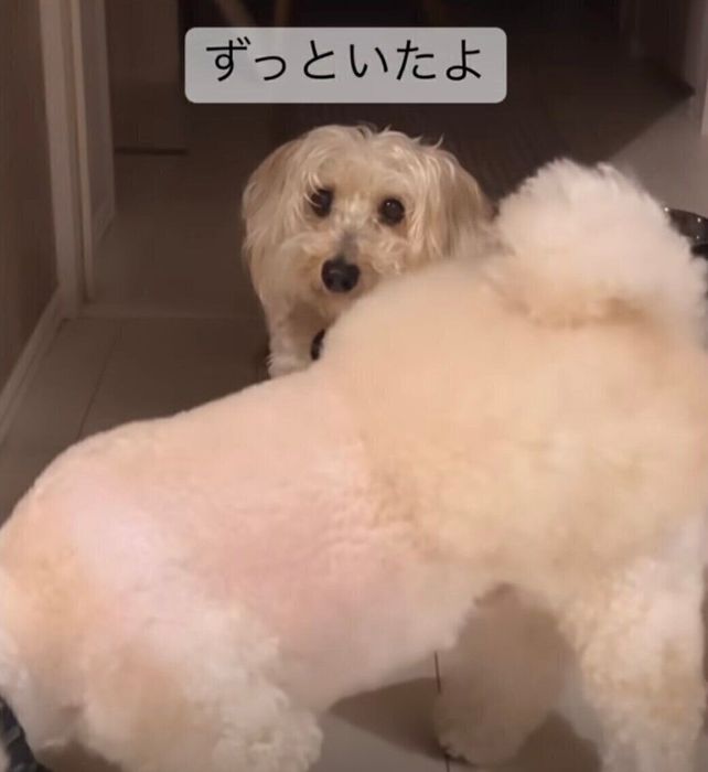 後ろから現れたラグちゃん