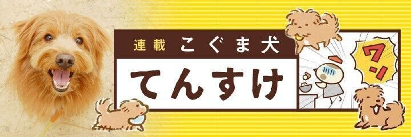 いぬのきもちweb Magazine 連載まとめ いぬのきもちweb Magazine いぬのきもちweb Magazine 連載まとめ いぬのきもちweb Magazine