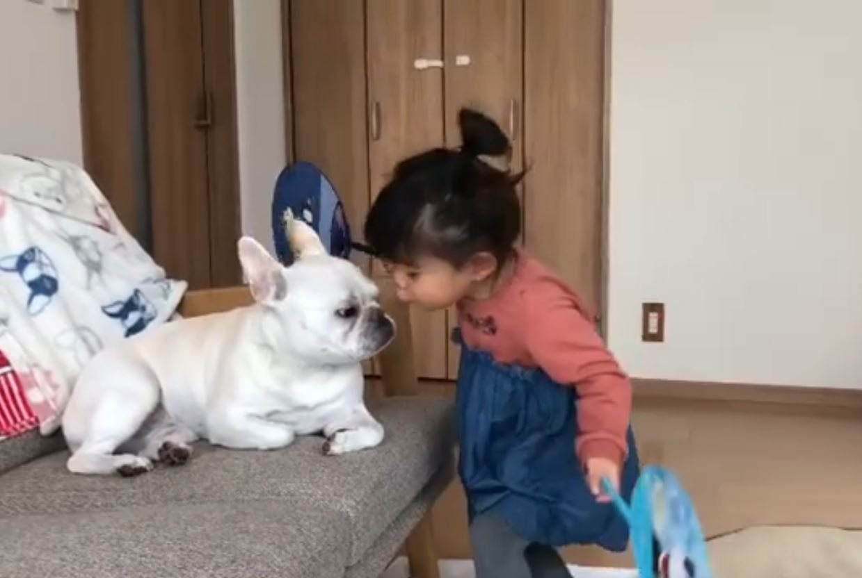 ろいさんと娘ちゃん