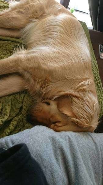 トレジャーちゃん