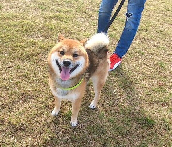 笑顔のおにぎりくん