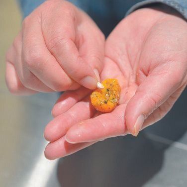 撮影／犬丸美絵