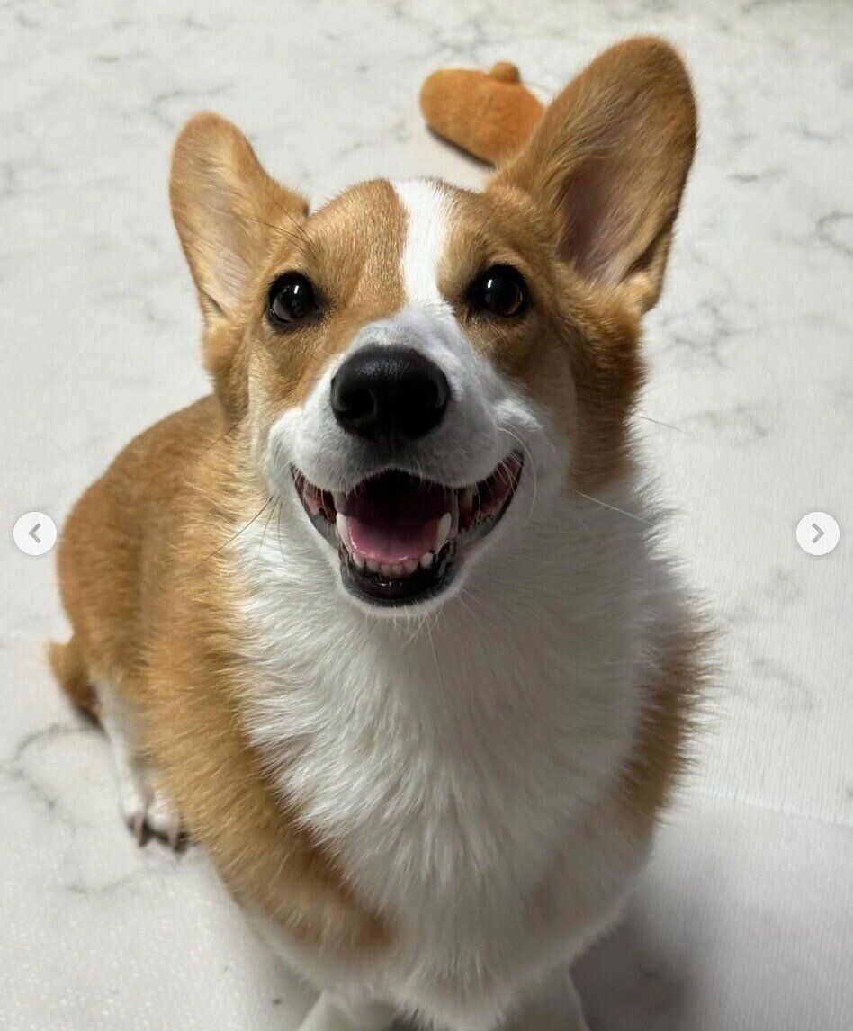 笑顔が可愛いちくわくん