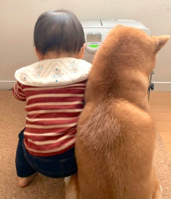 ストーブの前で寄り添うこたろうくんと弟くん