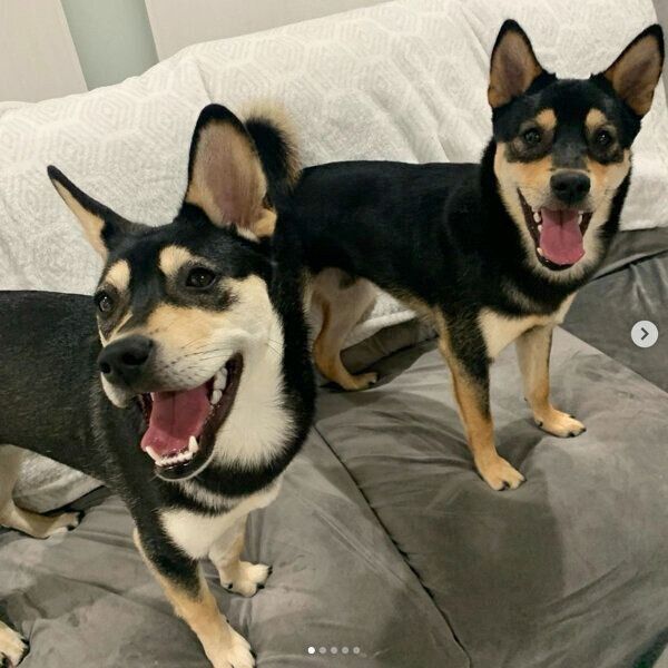 笑顔が可愛いななちゃんといぶきくん