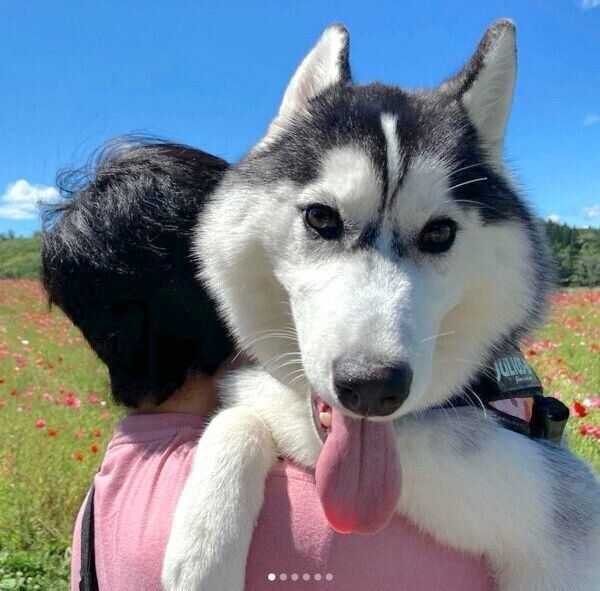 抱っこしてもらうリブちゃん