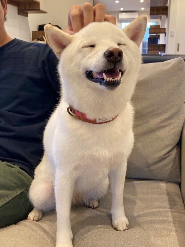 笑顔のゆきみちゃん