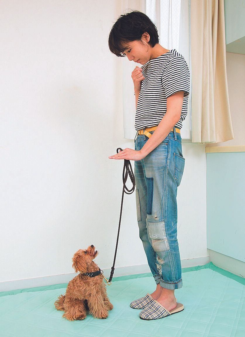 「マッテ」と言いながら犬の頭の前に手のひらを出すハンドシグナルをつけるようにしましょう