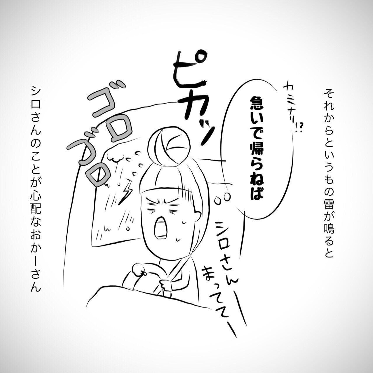 雷にガクブルだったおばあちゃん犬 心配で急いで帰宅すると 連載 おばあちゃん犬がやってきた第回 いぬのきもちweb Magazine