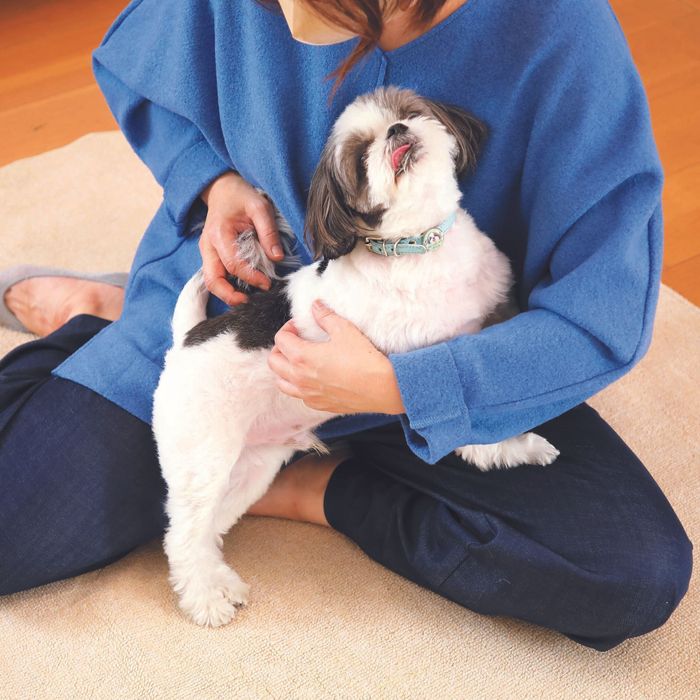 撮影/尾﨑たまき