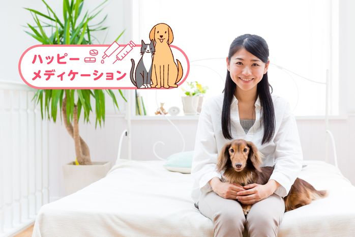 ミニチュア・ダックスフンドとハッピーメディケーションクラブ