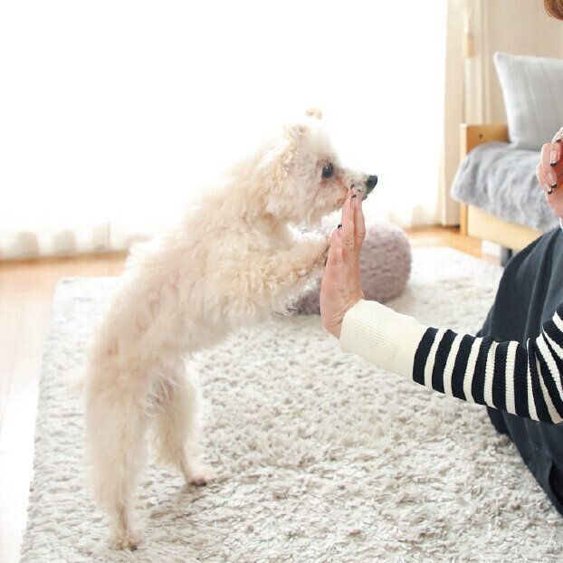 撮影／尾﨑たまき