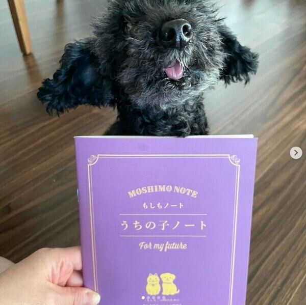 ダイソーの「もしもノート『うちの子ノート』」