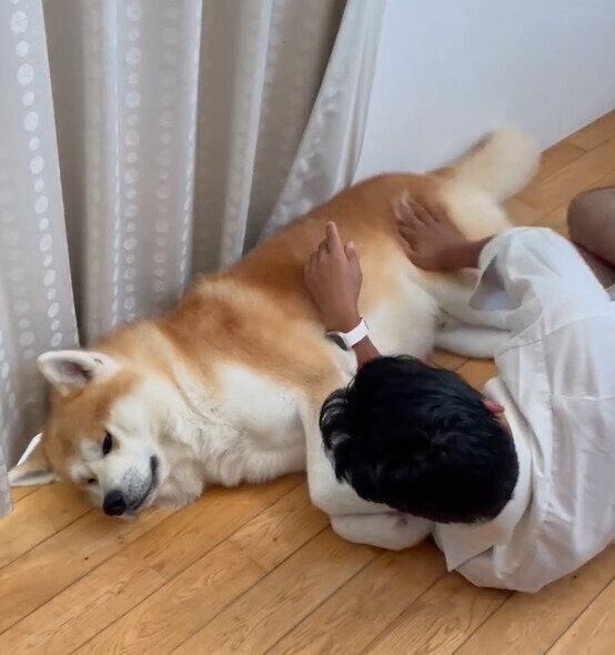 じゃれ合うよたろうくんとお父さん