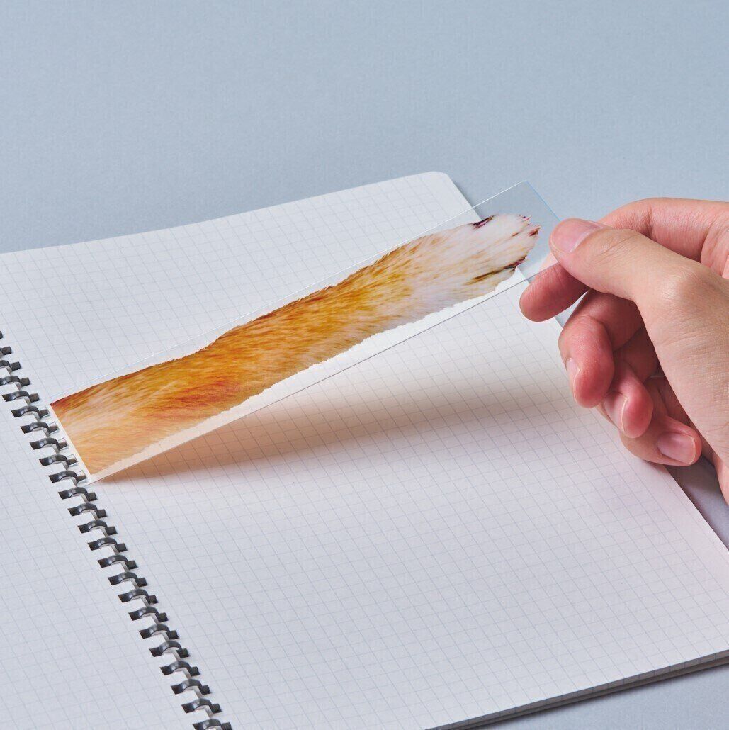 犬の手アタッチメント