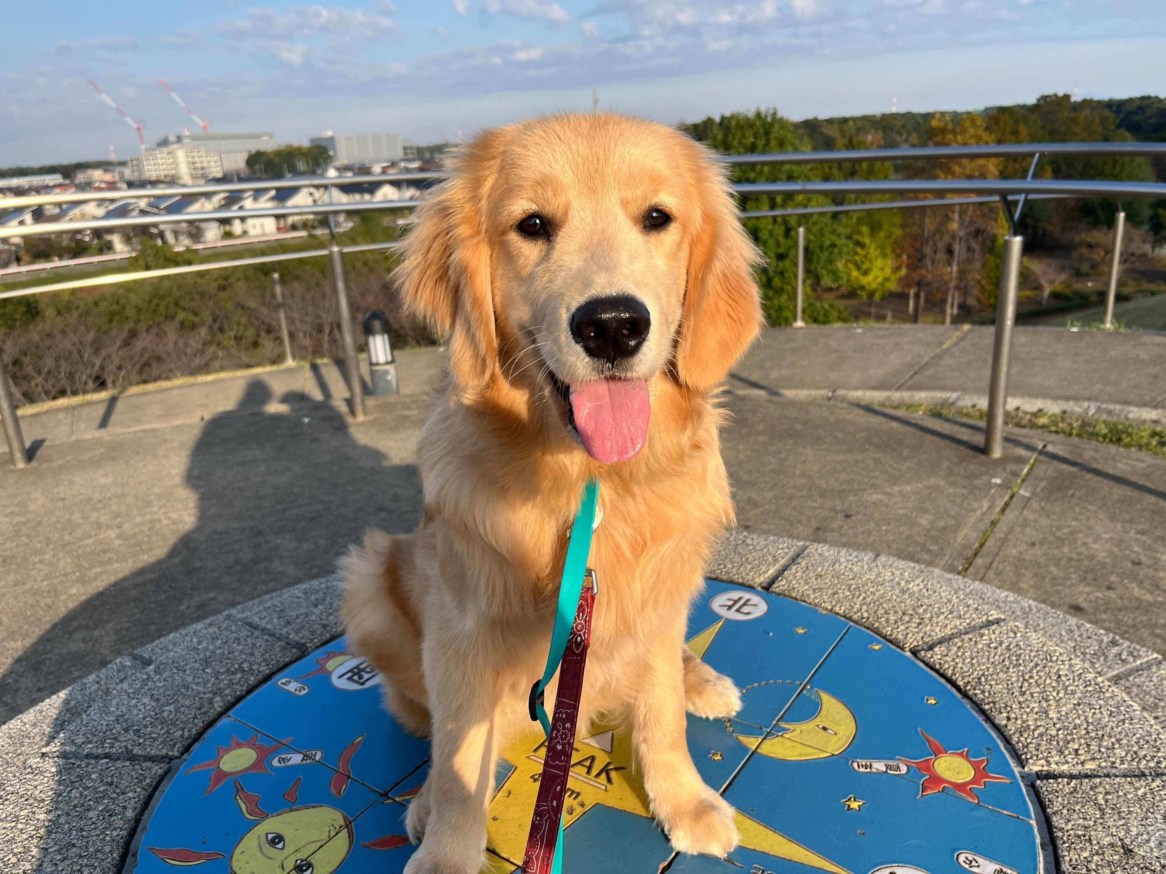 生後6カ月のころに撮影した陽南ちゃん