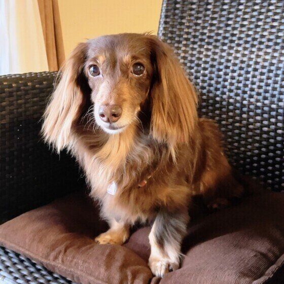 13才のララちゃん