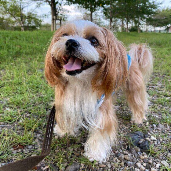 ご機嫌ならおんちゃん