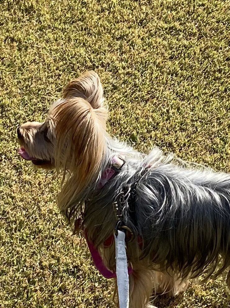 ママさんの写真