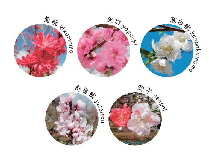 茨城　古河総合公園　古河公方公園