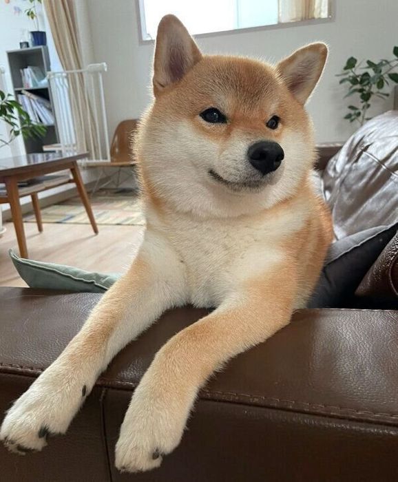 くつろぐマヤちゃん