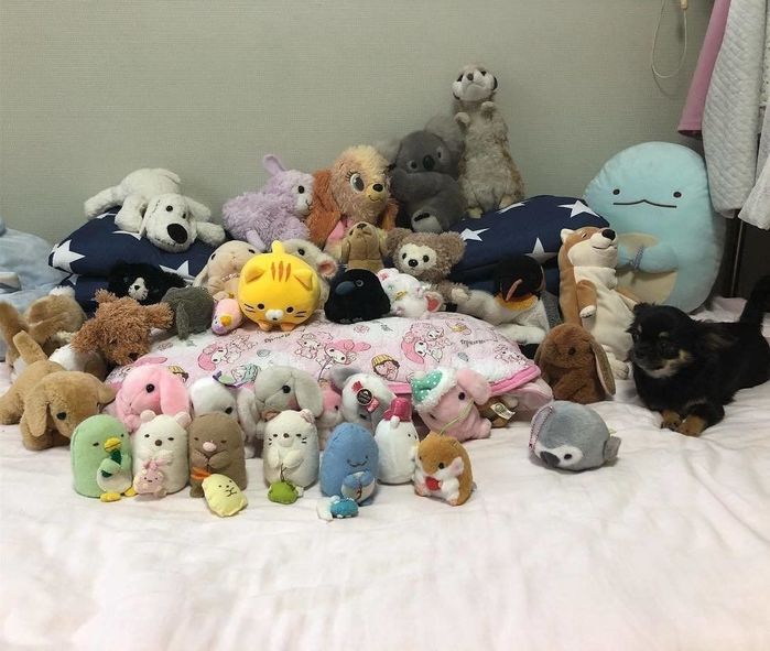 愛ちゃ~ん!どこ~~!?