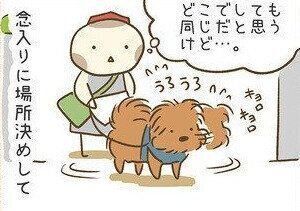連載「こぐま犬てんすけ」vol.112