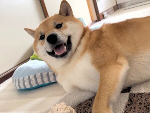 喜ぶふう太くん