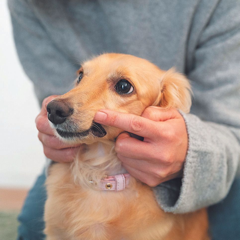 口まわりを触る練習から