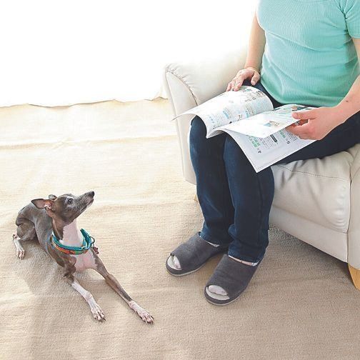 撮影／尾﨑たまき