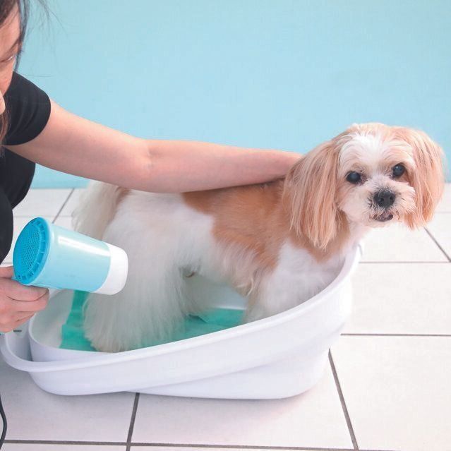 撮影／尾﨑たまき