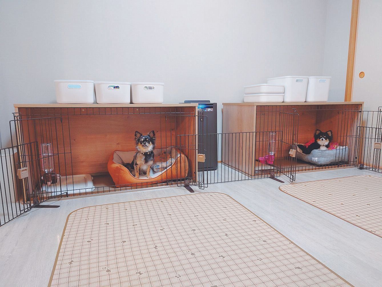 犬たちのプライベート空間に