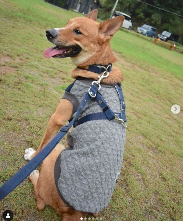 楽しそうな凛太郎くん