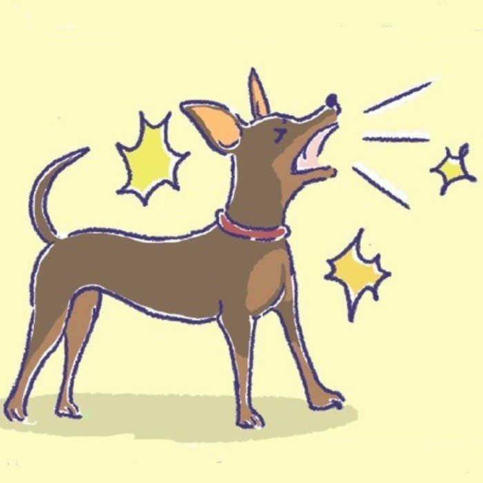 犬も心の病気になる 増えている犬の 分離不安 原因は いぬのきもちweb Magazine