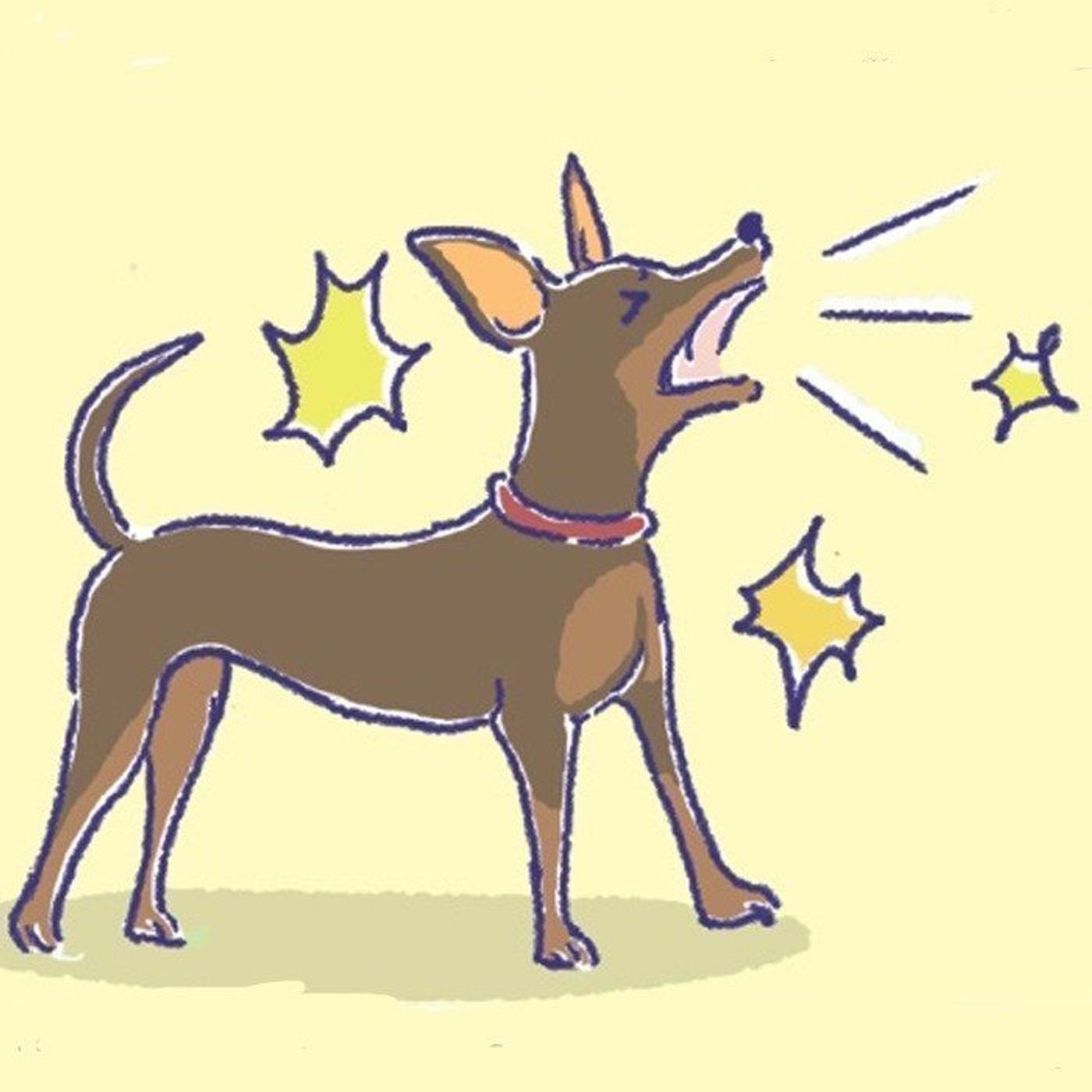 犬も心の病気になる 増えている犬の 分離不安 原因は いぬのきもちweb Magazine 犬も心の病気になる 増えている犬の 分離不安 原因は いぬのきもちweb Magazine