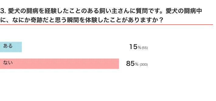 いぬのきもちWEB MAGAZINE　犬との不思議な体験に関するアンケートvol.01