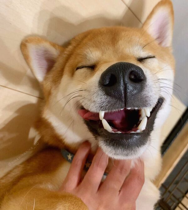 気持ちよさそうなみなとくん