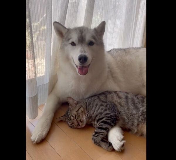 仲良しなユキちゃんとサンくん