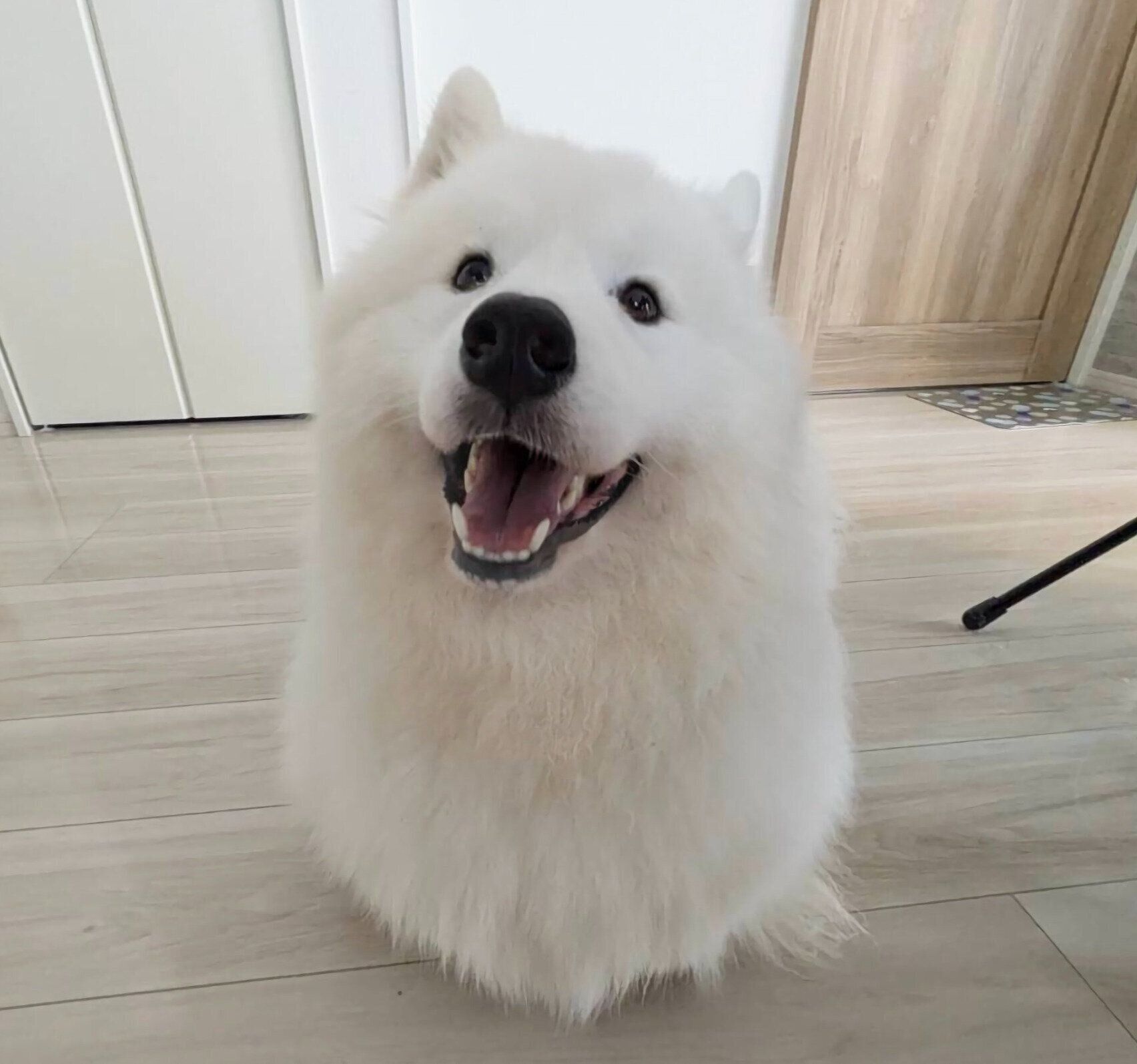 笑顔が可愛いさだはるくん