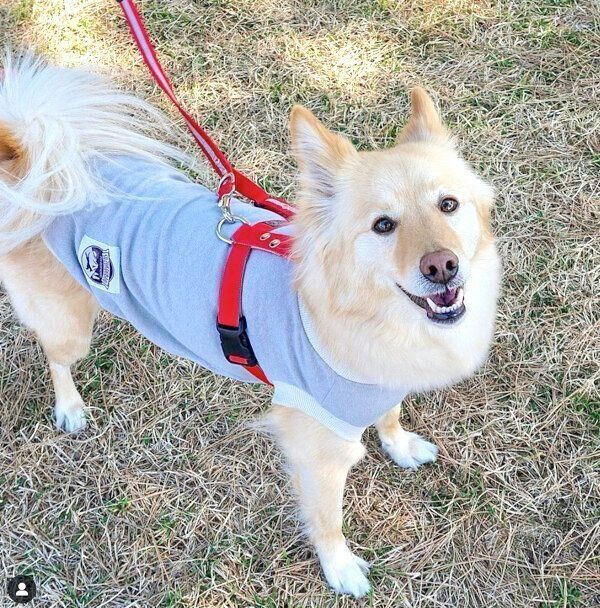 笑顔のあられちゃん