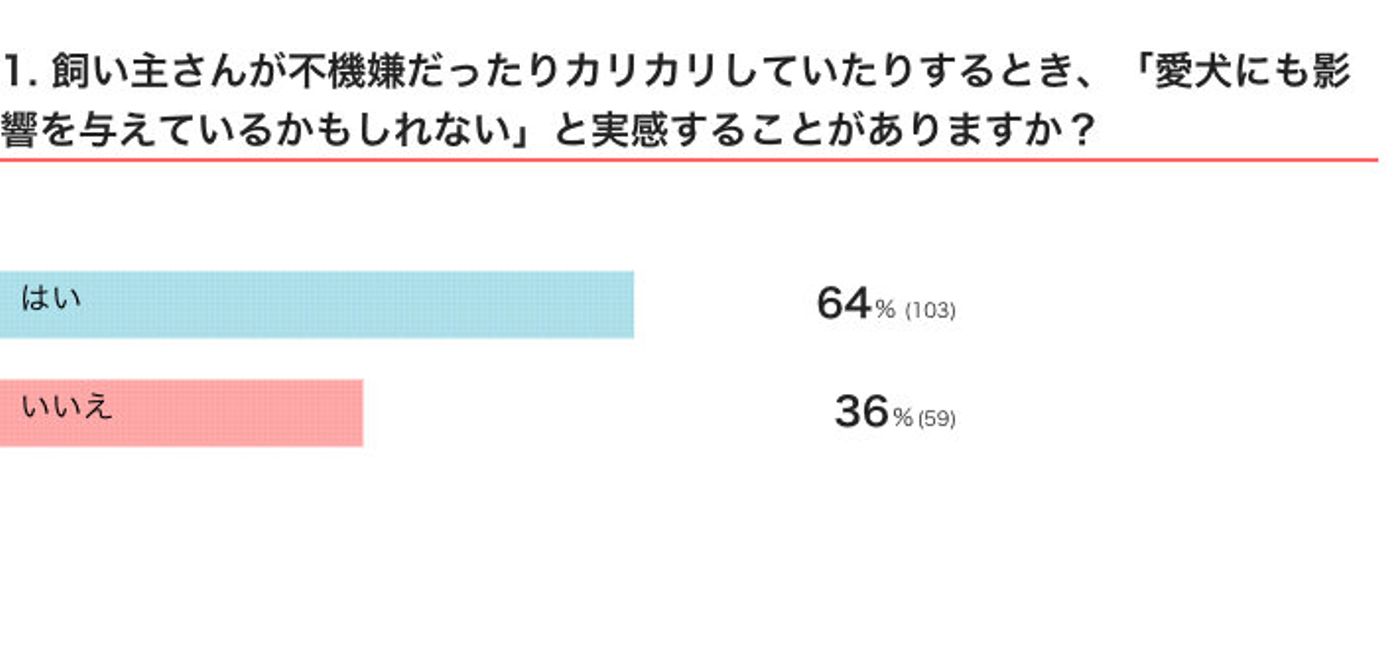 飼い主の不機嫌な態度やイライラは 犬に悪影響 獣医師が解説 いぬのきもちweb Magazine 飼い主の不機嫌な態度やイライラは 犬に悪影響 獣医師が解説 いぬのきもちweb Magazine