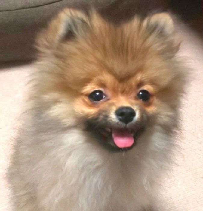生後5カ月頃のくるみちゃん