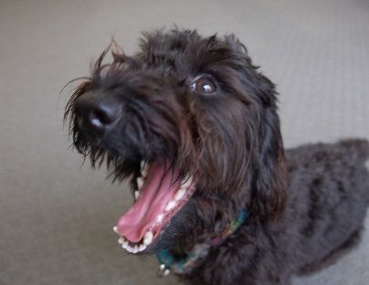 ↑３歳になってもやんちゃはやんちゃ。そのやんちゃ度が違うだけ