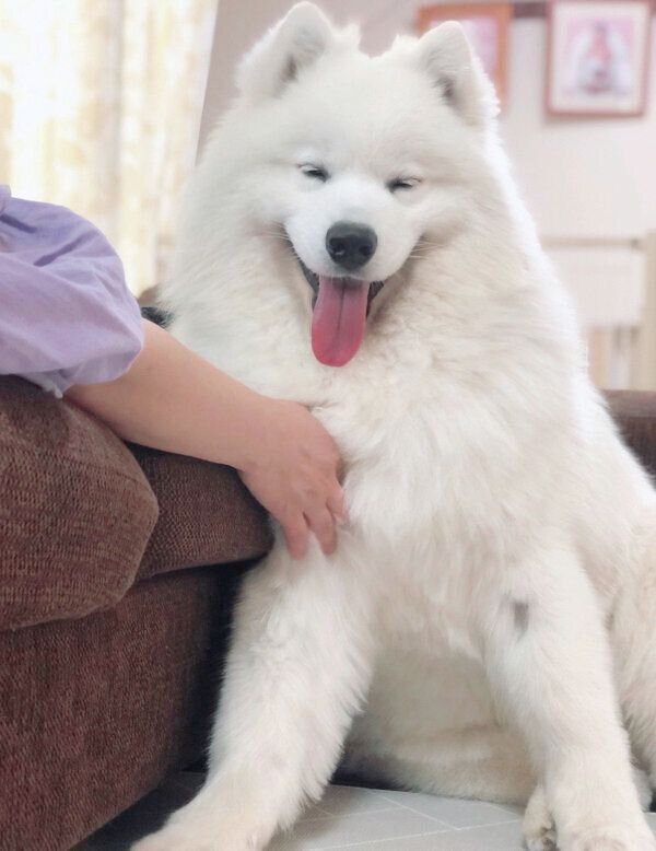 笑顔のサニーちゃん