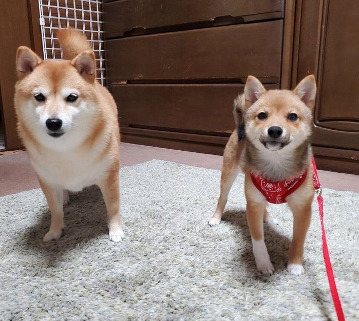 出会って3日目のなつちゃん、ここちゃん