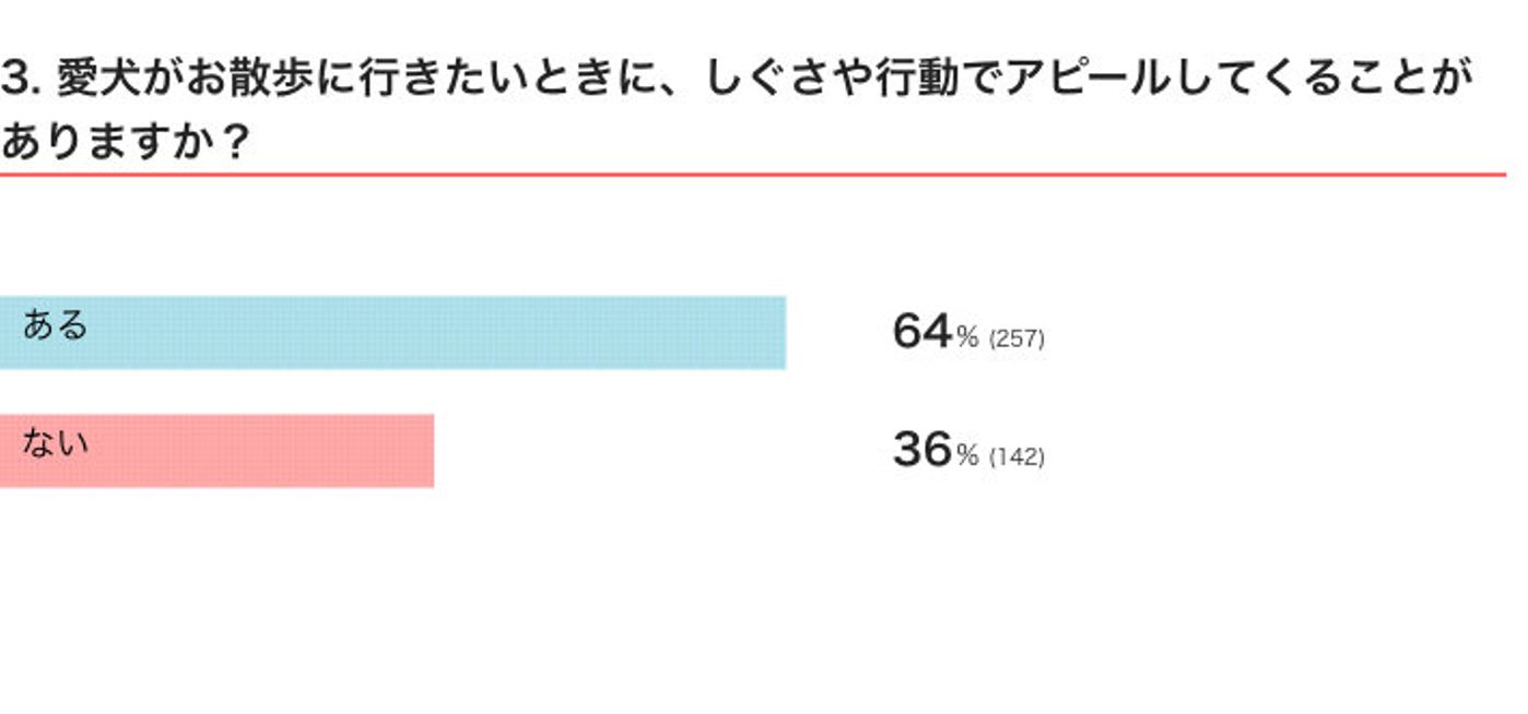 反復横跳び 無言の圧力 犬たちの お散歩行きたいアピール が独特 いぬのきもちweb Magazine 反復横跳び 無言の圧力 犬たちの お散歩行きたいアピール が独特 いぬのきもちweb Magazine