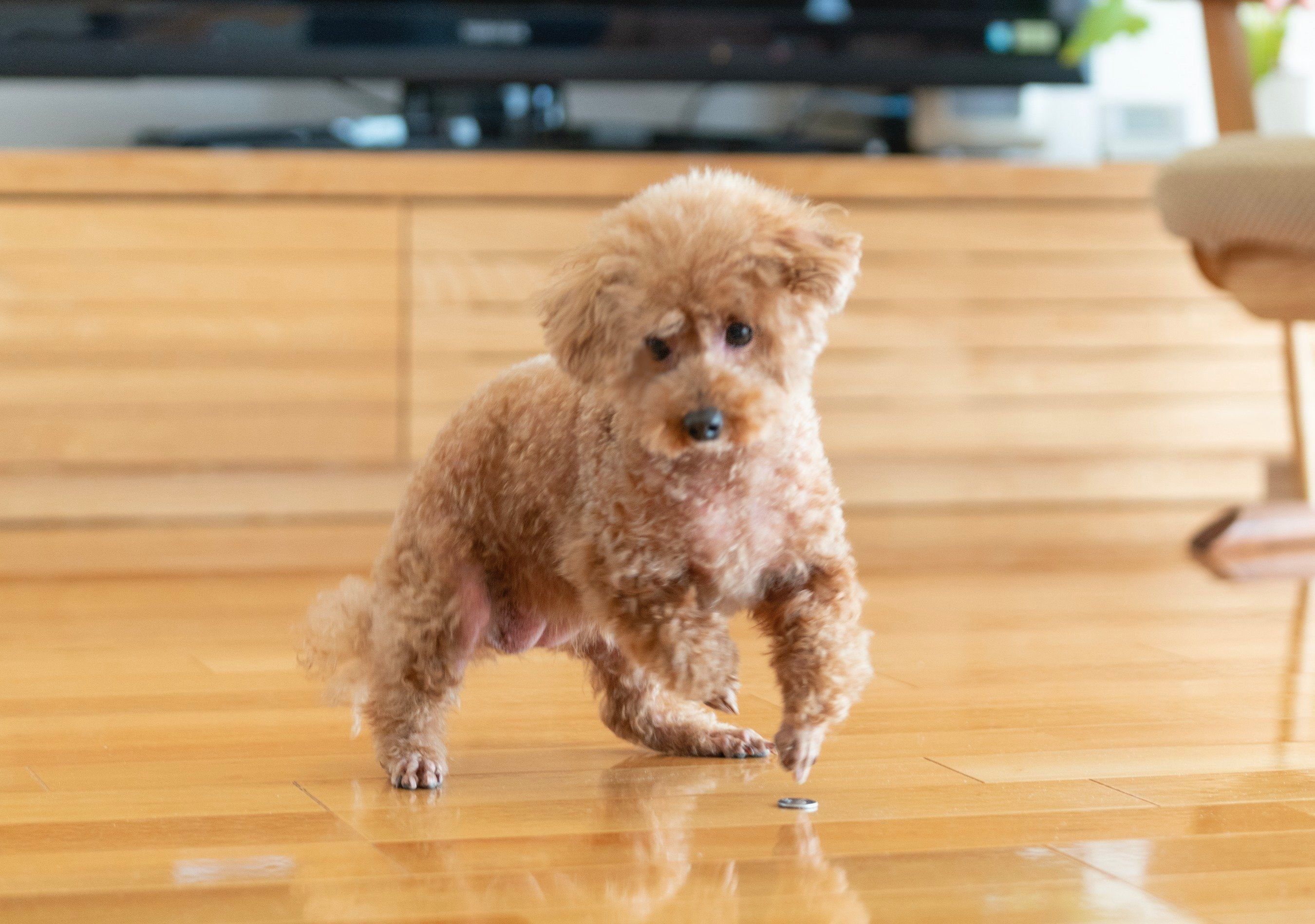 急なターンでも滑ることなく、走りやすそう！