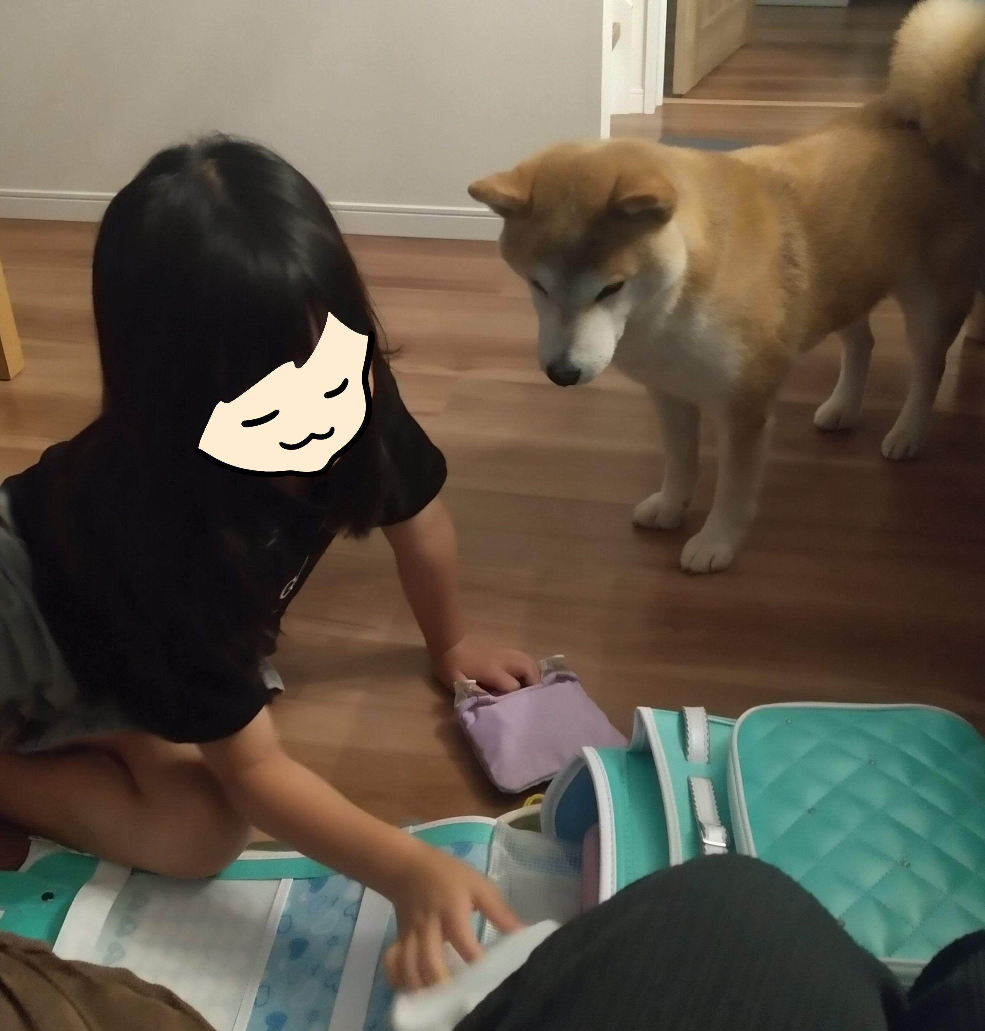 デビューづくしの1年⁉ 柴犬タロさんと娘の今年をざっくり振り返る