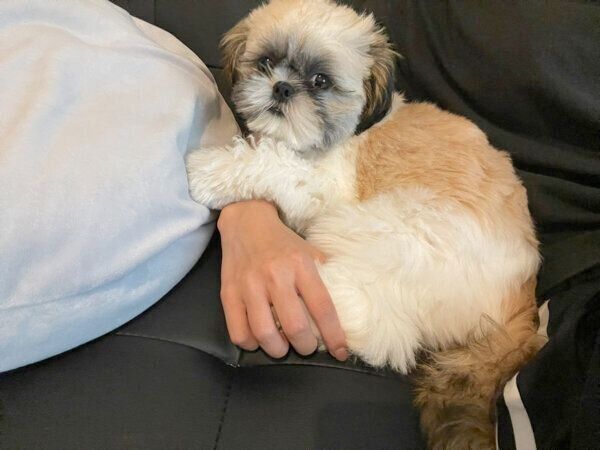 ママさんにべったりなおはぎちゃん